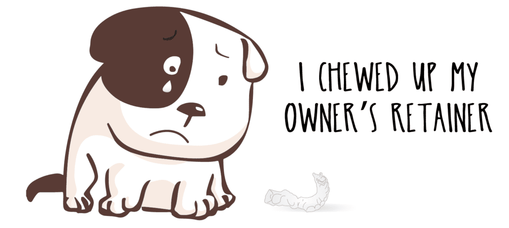 Dog chewed retainer